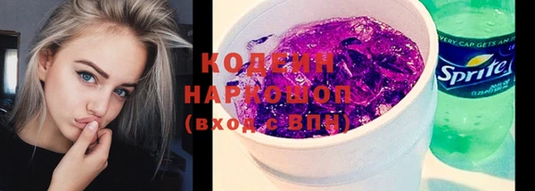 гидра Каменногорск