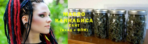 индика Каменск-Шахтинский