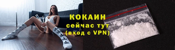 гидра Каменногорск