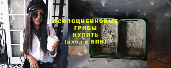 индика Каменск-Шахтинский