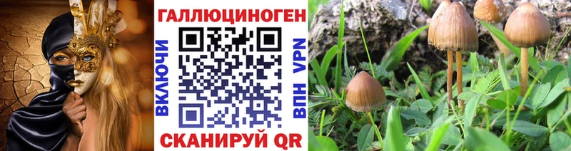Купить  Беломорск  Галлюциногенные грибы прущие грибы 